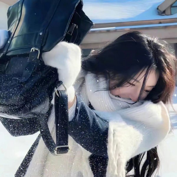 安妮莱伯维兹的浮华世界